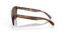 LUNETTE OAKLEYFROGSKINS MATTE BROWN TORTOISE W/ PRIZM TUNGSTEN