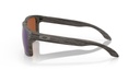LUNETTE HOLBROOK WOODGRAIN W/ PRIZM SHALLOW WATER POLAR