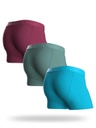 BOXER BN3TH CLASSIC BRIEF 3 PACK - ACAI/AGAVE/BAJA