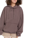 COTON OUATÉ VOLCOM PUSH BACK HOODIE POUR FEMME - SLATE GREY