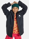 MANTEAUX BURTON JUNIOR LODGEPOLE 2L JACKET - FOREST MOSS COOKIE CAMO (copie)
