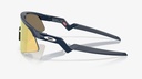HOLBROOK MATTE CARBON W/ PRIZM 24K POLARIZED