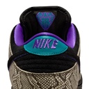 SOULIER NIKE SB DUNK LOW PRO - STRING/BLACK-BRIGHT SPRUCE-FIERCE PURPLE