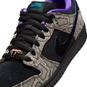 SOULIER NIKE SB DUNK LOW PRO - STRING/BLACK-BRIGHT SPRUCE-FIERCE PURPLE