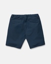 SHORT VOLCOM STONE TRAIL MASTER SHORT 20'' - DARK FOREST (copie)