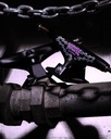 TRUCKS THUNDER T-II NICOLE MALICE - 148