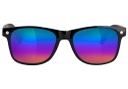 LUNETTE GLASSY LEONARD POLARIZED - NOIR/COLOR