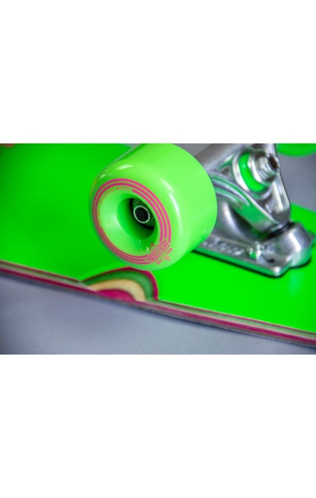 COMPLETE DUSTERS CALIFORNIA DEAMING LONGBOARD - 40in