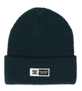 DC SIGHT BEANIE - SYCAMORE
