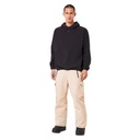 WINTER PANTS OAKLEY TC CHANNEL CARGO - HUMUS