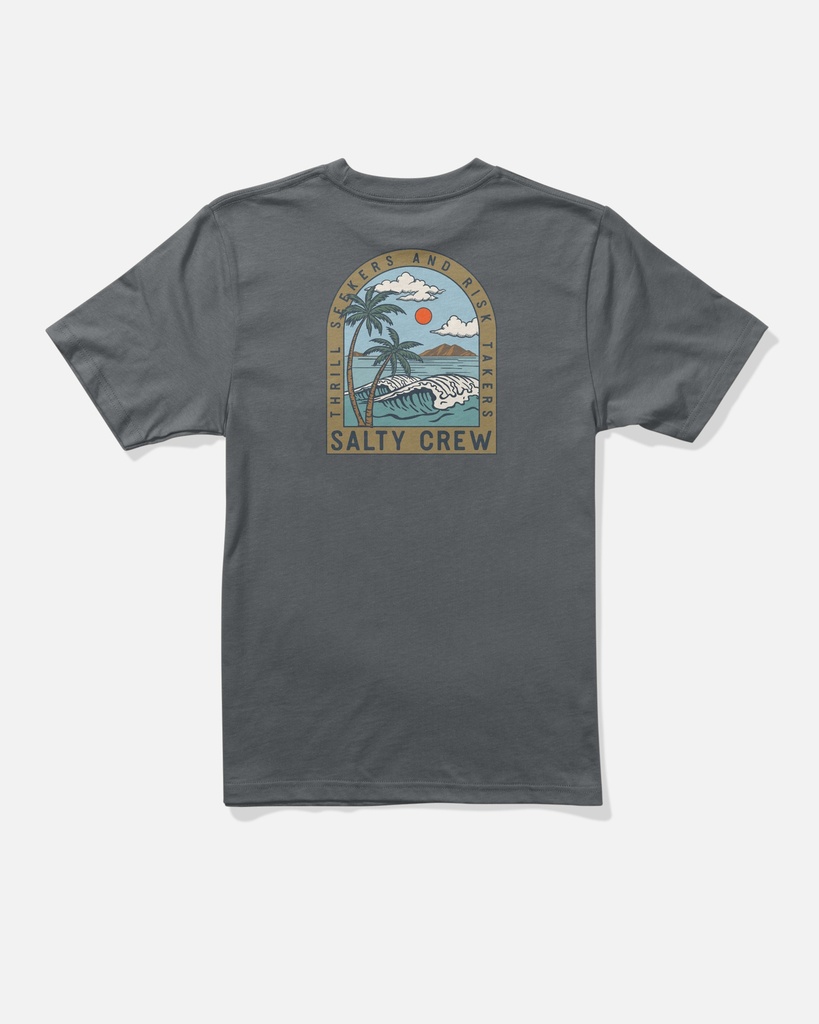 SALTY CREW ARCHWAY BOYS SS TEE - CHARCOAL