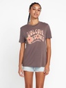 T-SHIRT VOLCOM TERN N BERN POUR FEMME - SLATE GREY