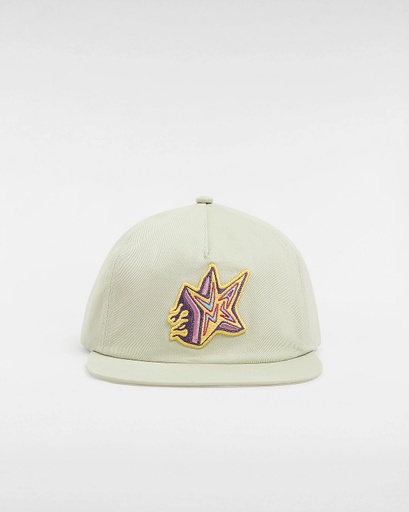 CASQUETTE VANS SKATE STAR LOW  - ELM