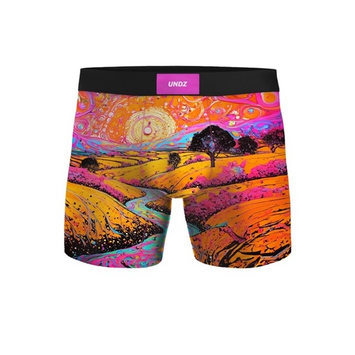BOXER UNDZ CLASSIC ABSTRACT ART