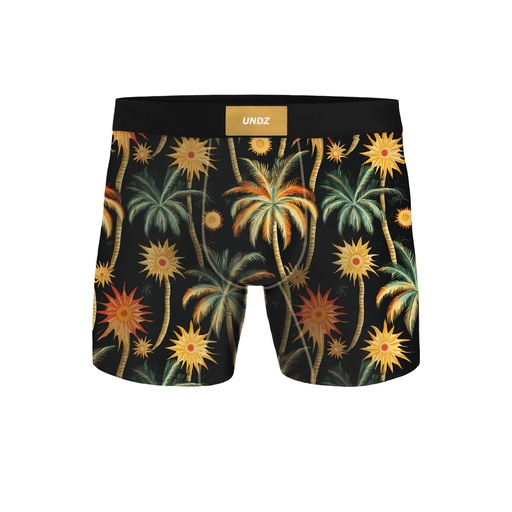UNDZ CLASSIC PALMIERS BOXER