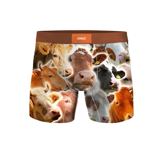 BOXER UNDZ CLASSIC VACHES
