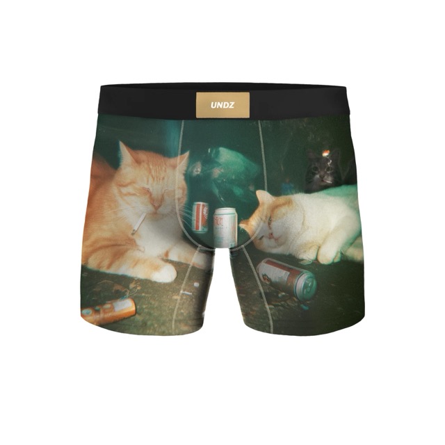 BOXER UNDZ CLASSIC CHATS ET CLOPES