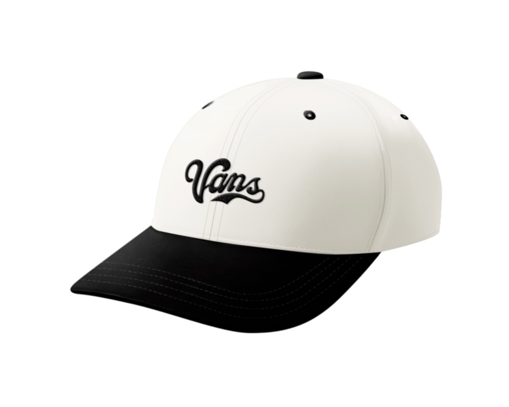 CASQUETTE VANS LEFTY SCRIPT CURVED BILL JOCKEY - NOIR